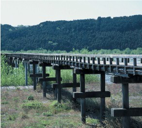 静岡県島田市のおすすめ観光名所　蓬莱橋